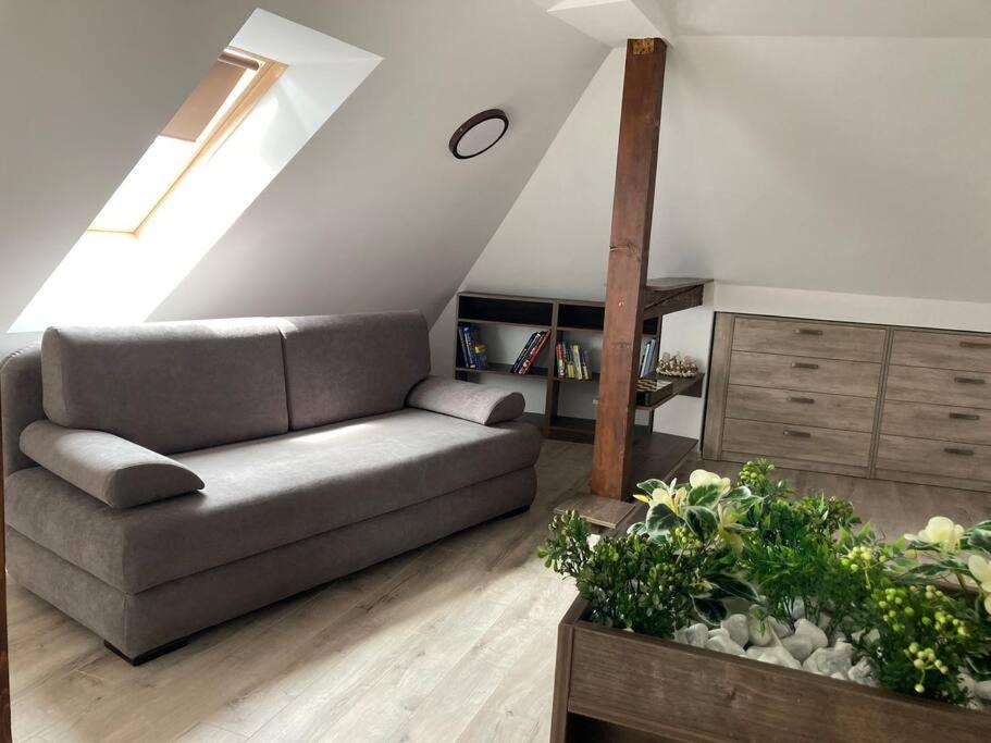 Miercurea-Ciuc Apartment | Samadhi Aparthotel