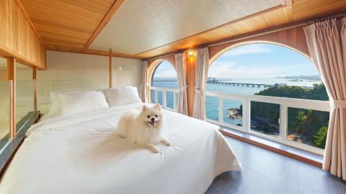 Samcheok House | Samcheok Peacehousing Spa Pet Pension