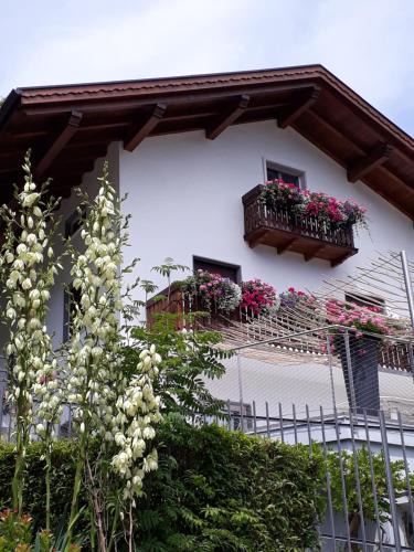 Tione di Trento Bed & Breakfast | SaMeCà