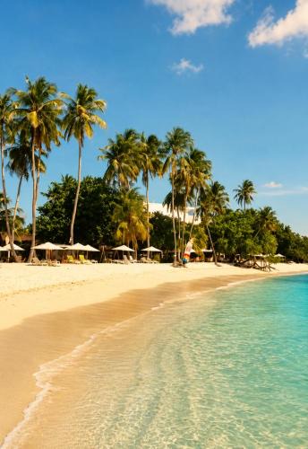 Thulusdhoo Island Hotel | Samura Panorama Guest House