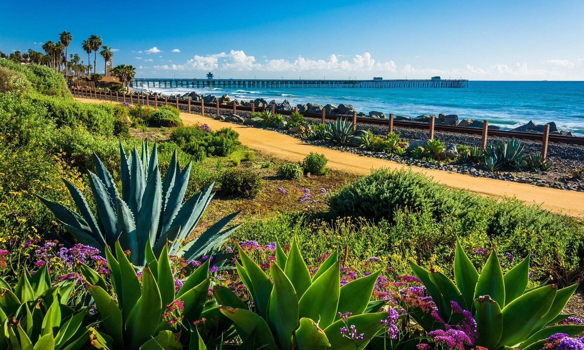 San Onofre Hotel | San Clemente Surf Inn