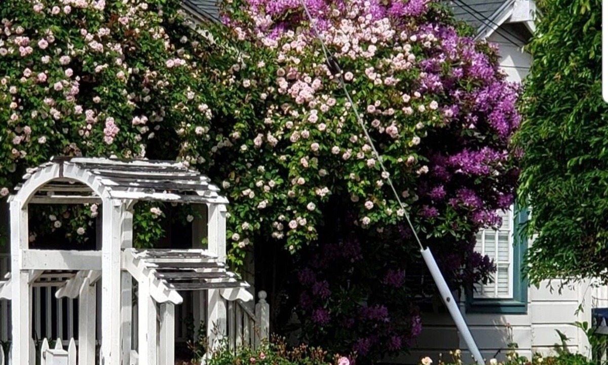 San Bruno House | San Francisco Suburb French farmhouse - great location