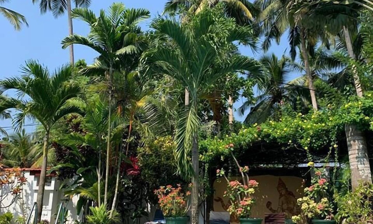 Kosgoda House | Sankarest Villa