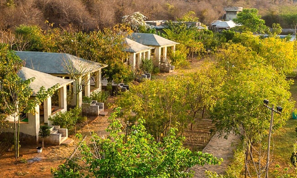 Sariska Hotel | Sariska Jungle Camp