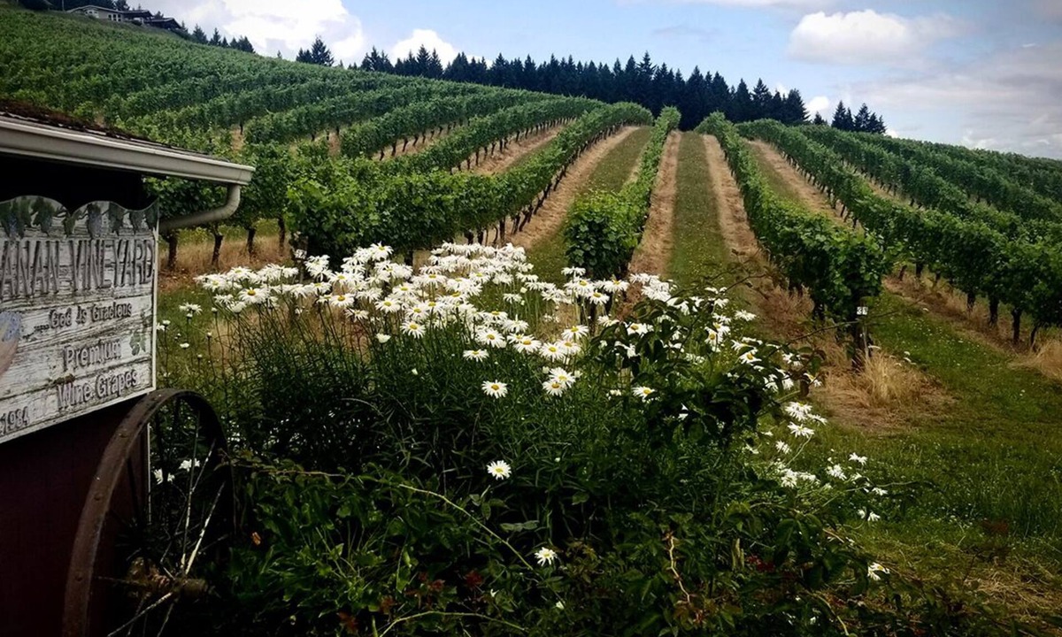 Alvadore House | Sarver Winery Guesthouse