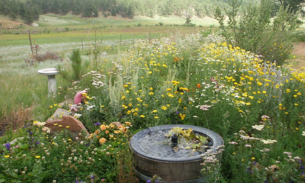 Bailey House | Scenic Solar Mountain Home on Elk Meadow