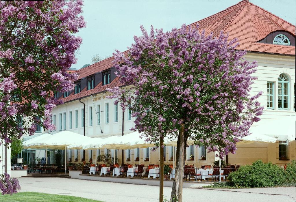 Pillnitz Hotel | Schloss Hotel Dresden Pillnitz
