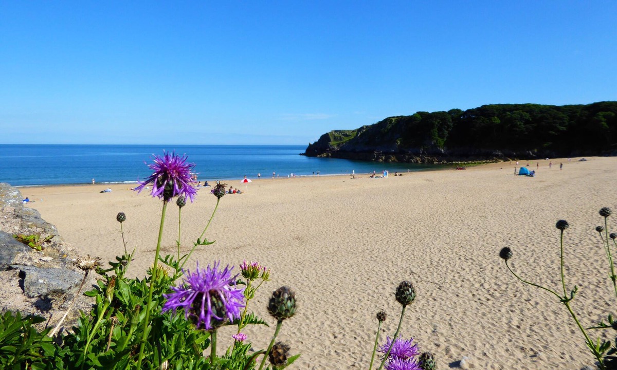 Angle House | Sea views from every window, walks from the door. Dog Friendly.