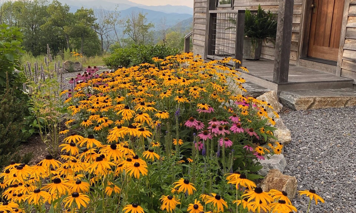Black Mountain House | Secluded 13-Acre Family Cabin Near Chimney Rock & Lake Lure - Mt Mitchell Views
