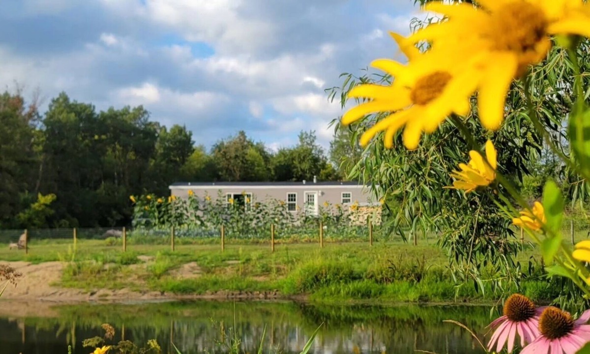 New Hampton Cabin | Secluded 3-bedroom Cabin style home with Pond and Wildlife, mins of New Hampton