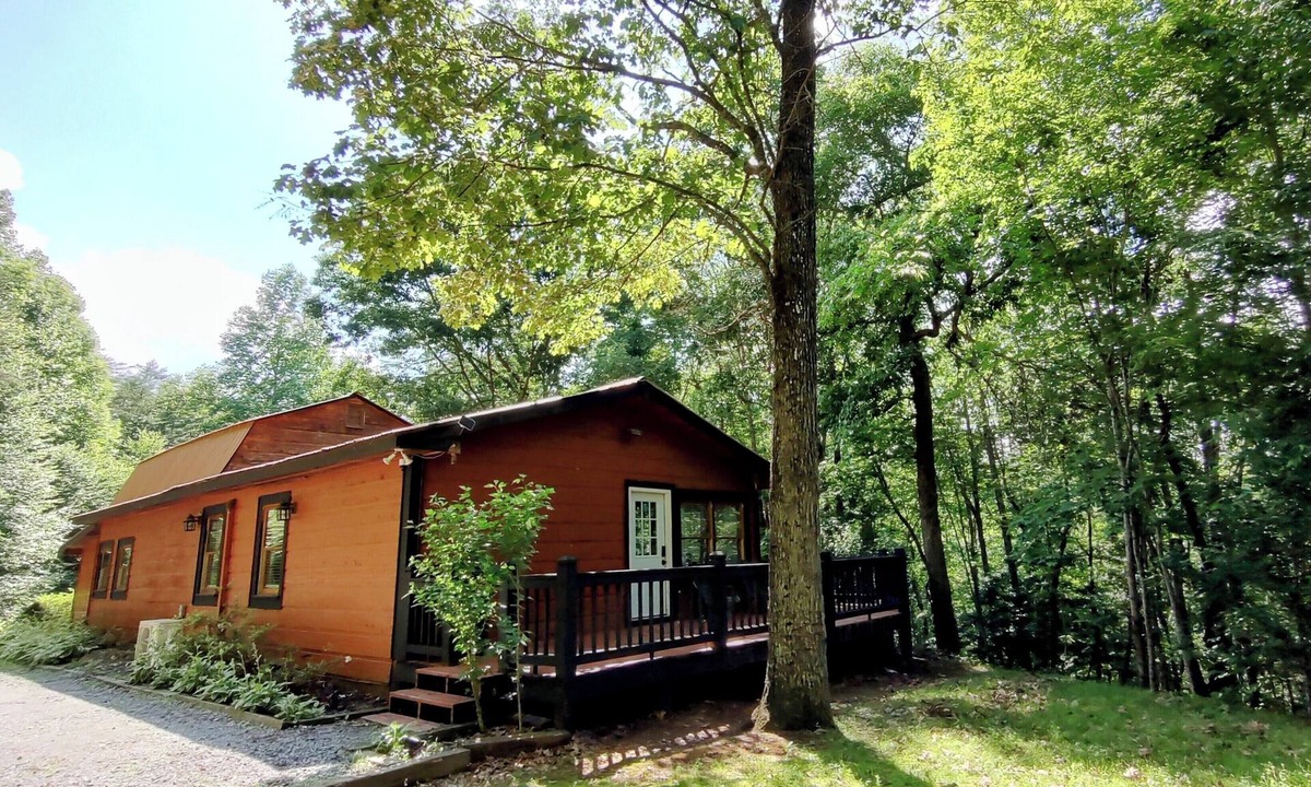 Turtletown Cabin | Secluded Blue Ridge Mountain Cabin near Ocoee River with Firepit