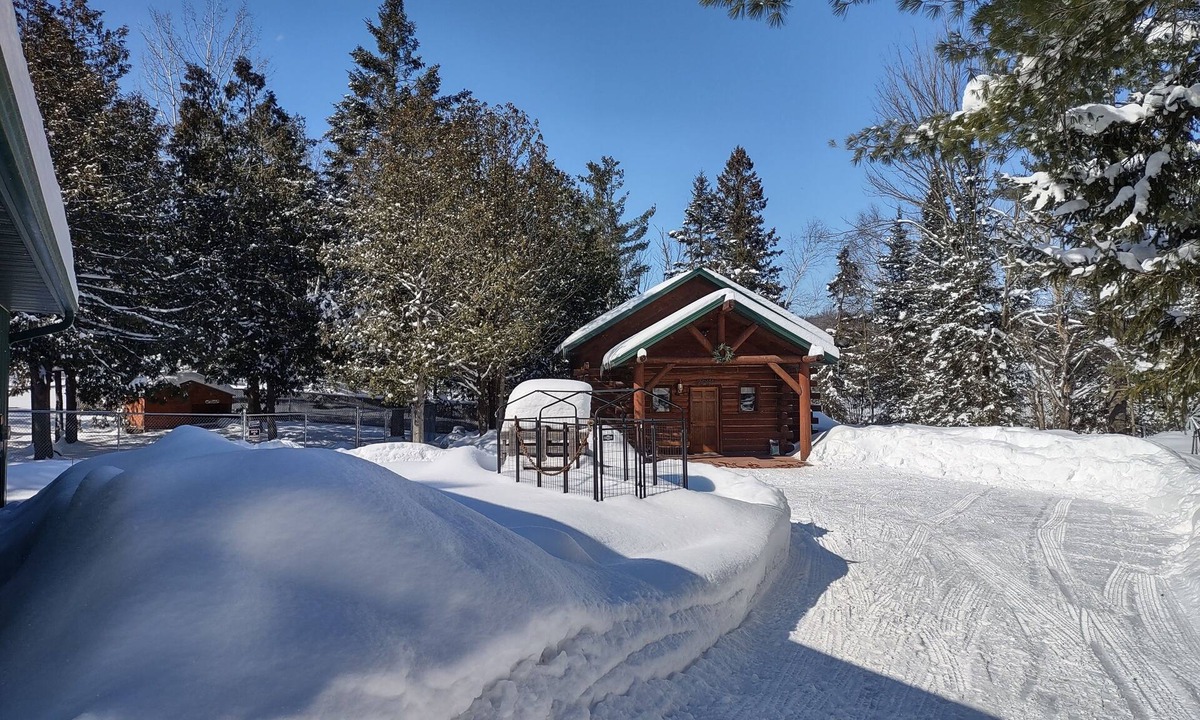 Weyerhaeuser Cabin | Secluded cabin in the woods-UTV, hunting, fishing, pet friendly