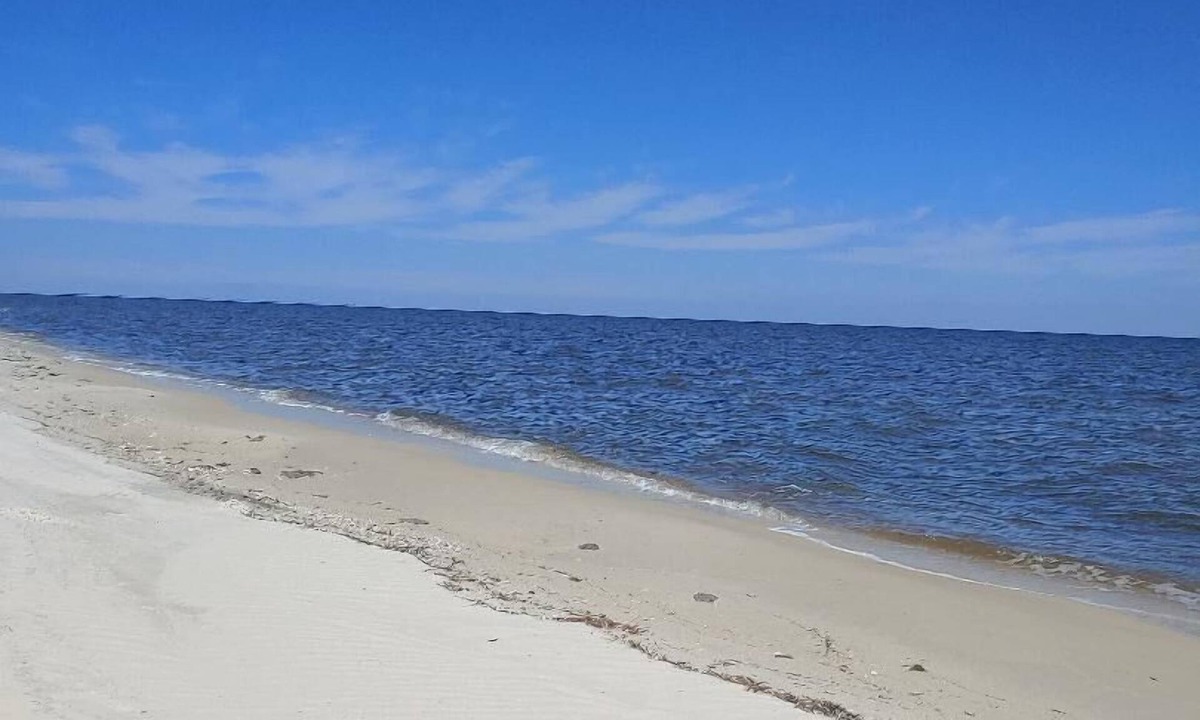Alligator Point House | Secluded Florida Beach Bungalow BEST OF BOTH WORLDS BEACH TIME & FISHING TIME!