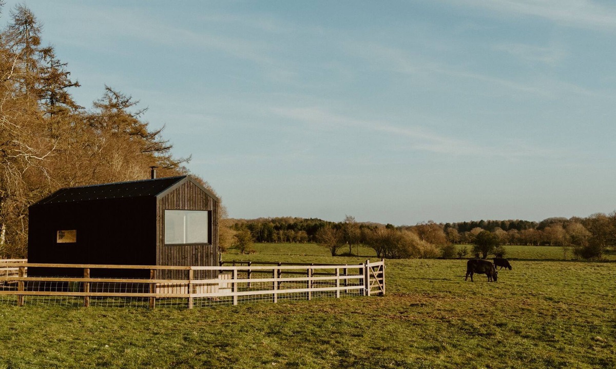 Newcastle-Under-Lyme Cabin | Secluded Off-Grid Woodland Hideaway with Scenic Trails
