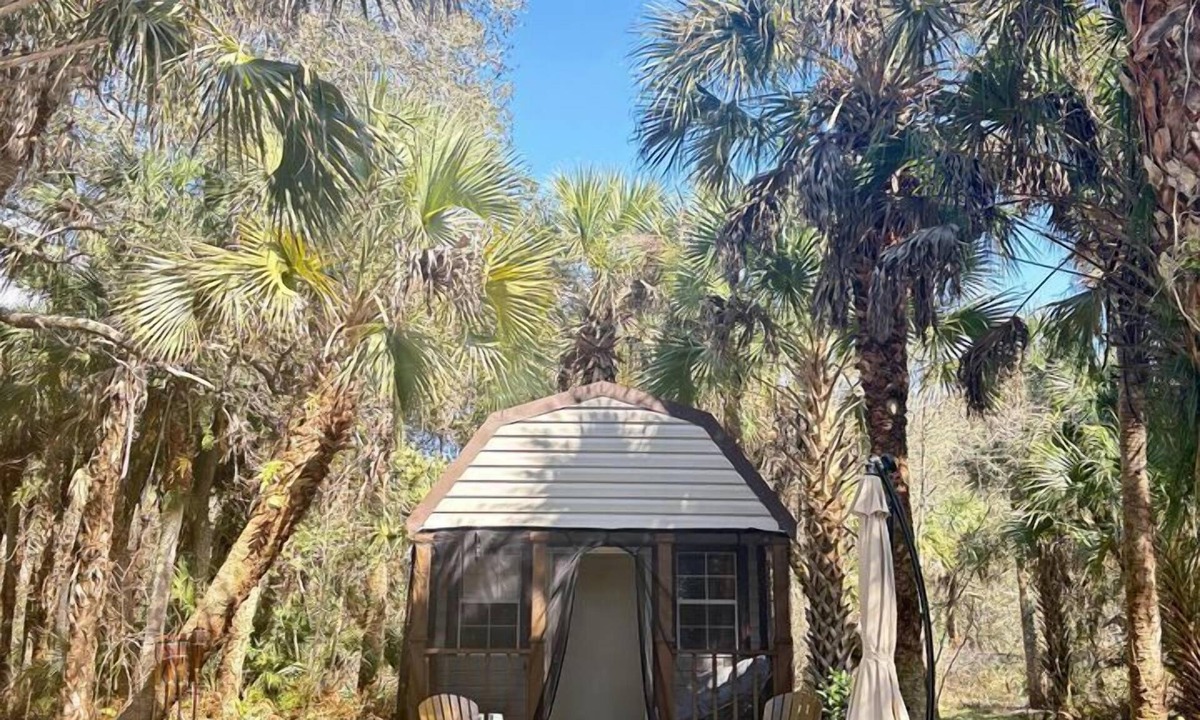 Port Canaveral House | Secluded Off-the-Grid Cabin with Tropical Land Near Cocoa, Florida