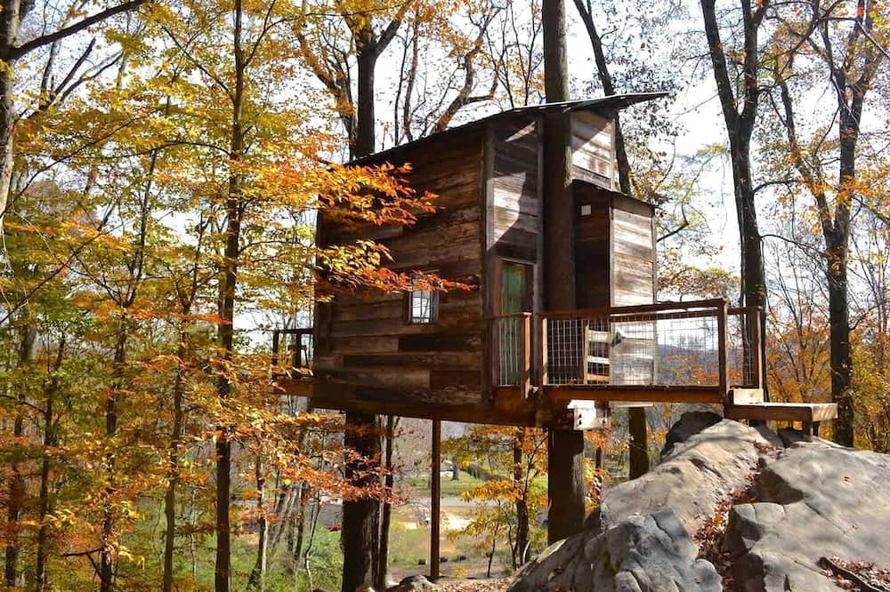 Flintstone Cabin | Secluded Tree House in the Forest near the Appalachian Mountains, Georgia