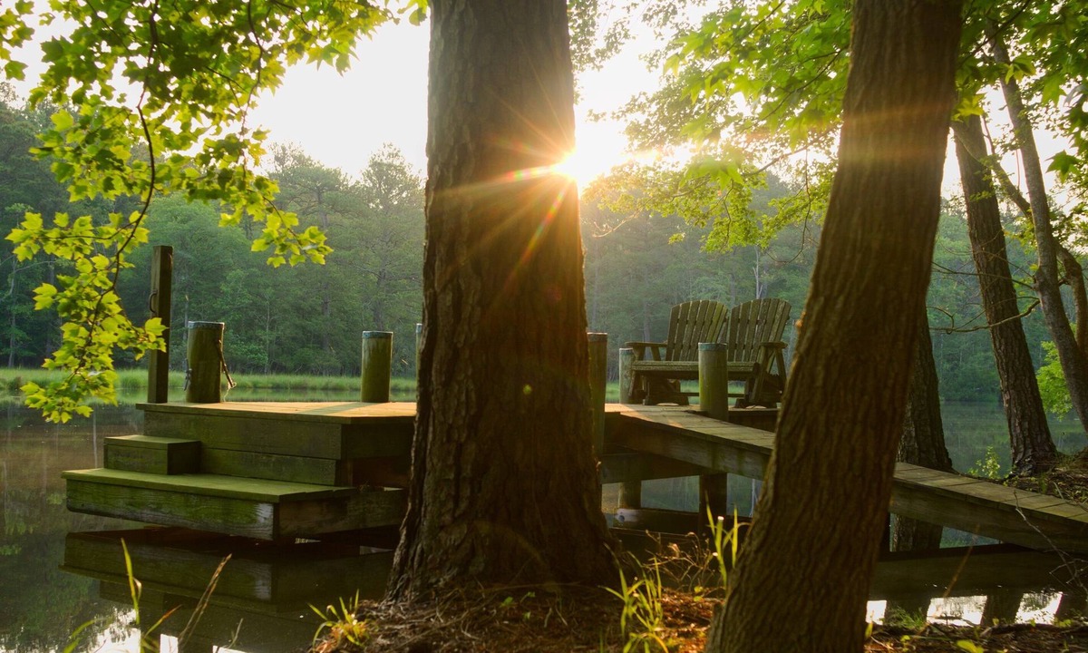 Worcester County House | Secluded Waterfront 15mi to Assateague Beach Fast Wifi Kayaks Near Berlin, OC!