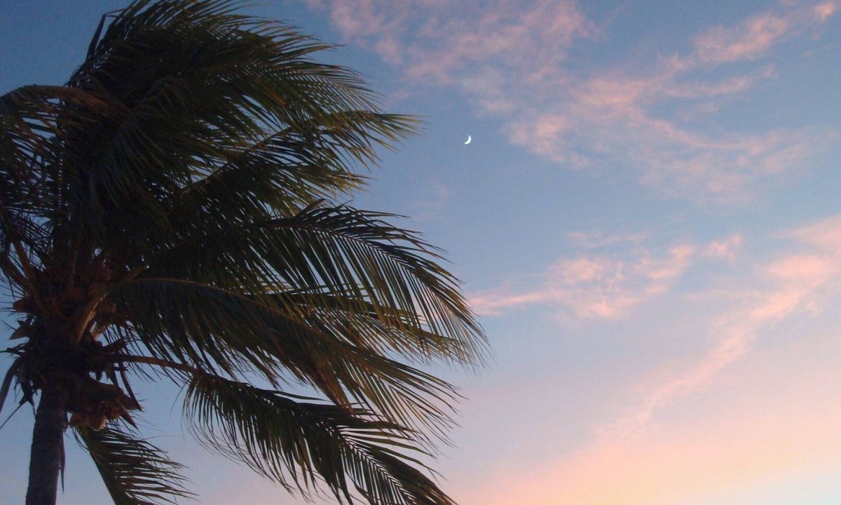 Lower Matecumbe Beach Apartment | Second Floor Den Suite – Sunny Islamorada Escape, Pool, Beach, Marina, Sleeps 6