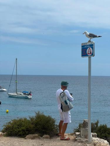 Sant Josep de sa Talaia Boat Rental | Secret of the Ibiza