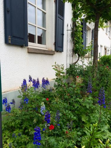 Bad Kreuznach District Apartment | SEELIG`S