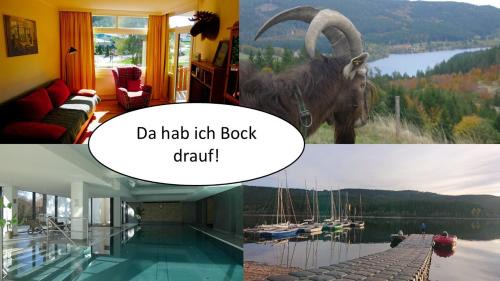 Schluchsee Apartment | Seenest am Schluchsee