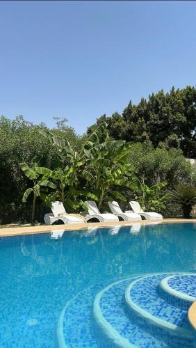 Giza Villa | Selora Villa