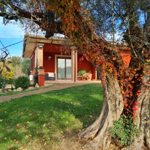 Tuscania House | Selva Castalda