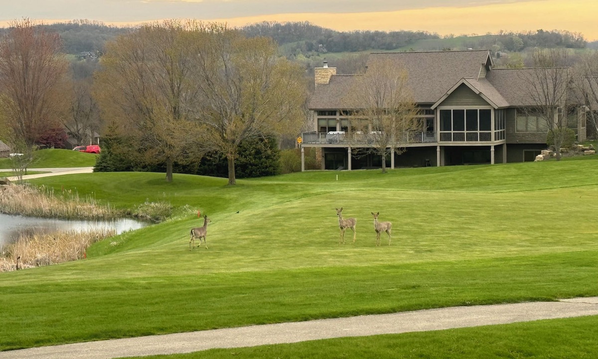 The Galena Territory House | Sensational golf views from the patio!