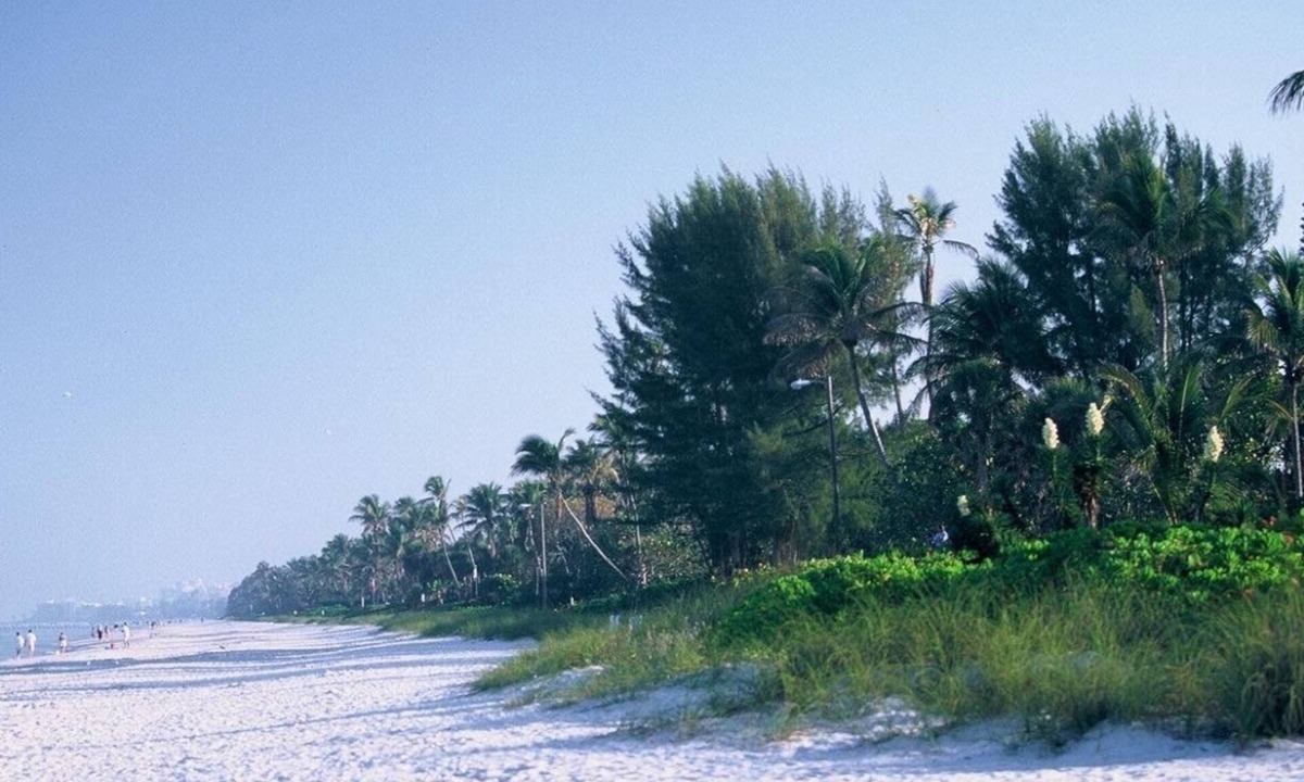 Park Shore Condo | September October Special-$80 a night for a minimum of 5 nights-instant refund