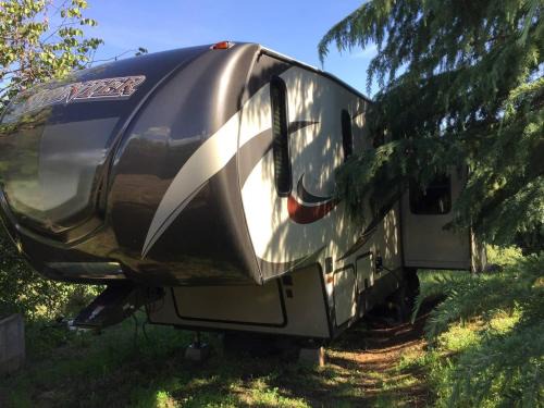 Badger Other | Sequoia Forest Retreat