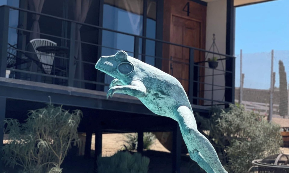 Valle de Guadalupe Cabin | Serene 1-bedroom cabin with AC in charming Chula Vista
