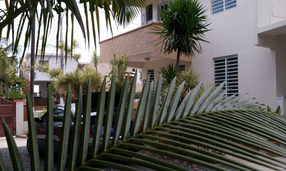 Jobos Villa | Shacks Cozy 1bdrm/1bath walk to beach
