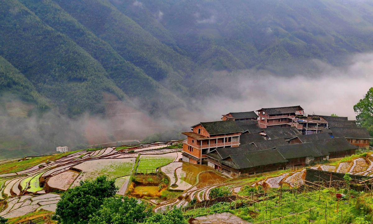 Longsheng House | ShadowGreen Hotel