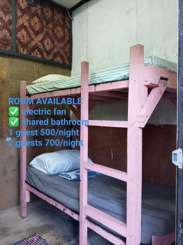 Catangnan Hotel | sharkbunkbed siargao