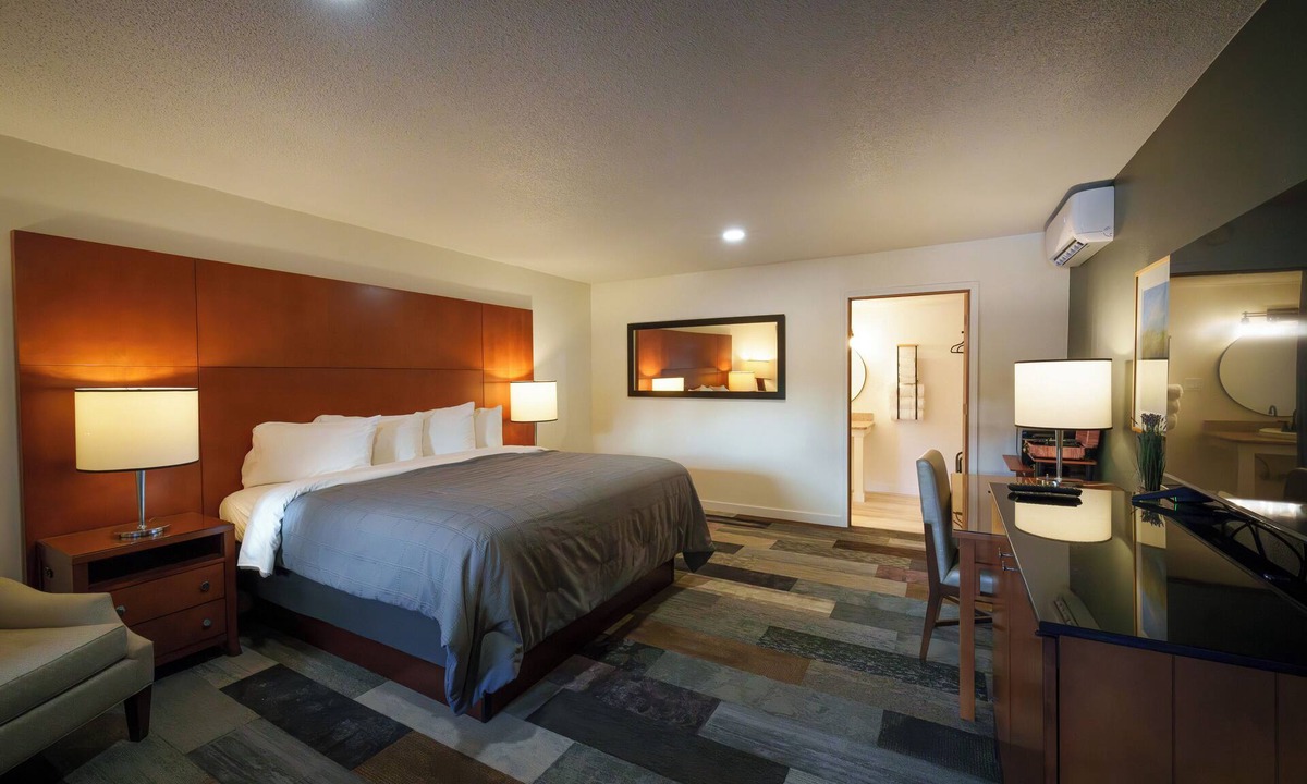 Shelton Hotel | Shelton Inn