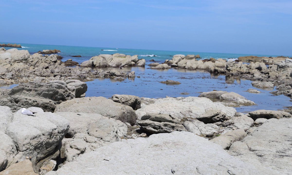 Kaikoura Hotel | Sierra Beachfront Motel