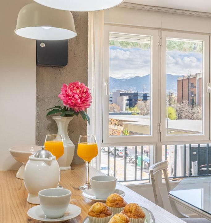Zaidin Apartment | Sierra Nevada Views Sunny Spacious Renovated
