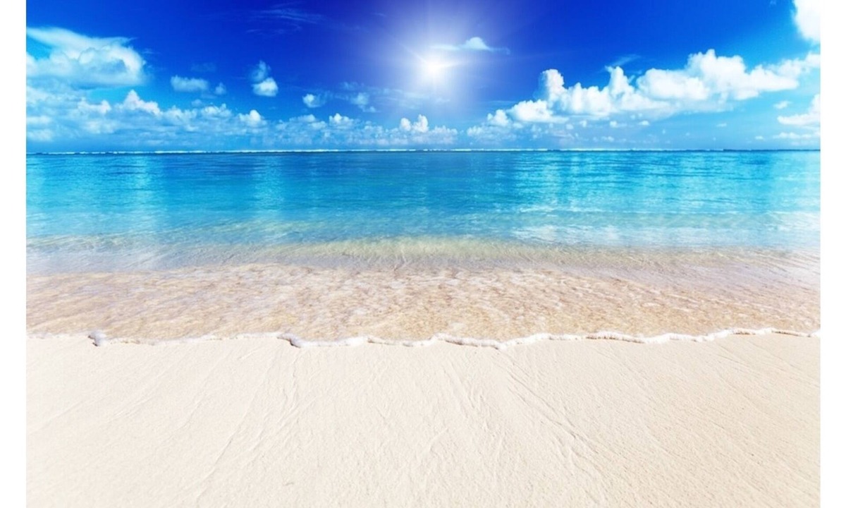 Siesta Key Condo | Siesta Key Beach IDEAL LOCATION BEACH, VILLAGE, HEATED POOL