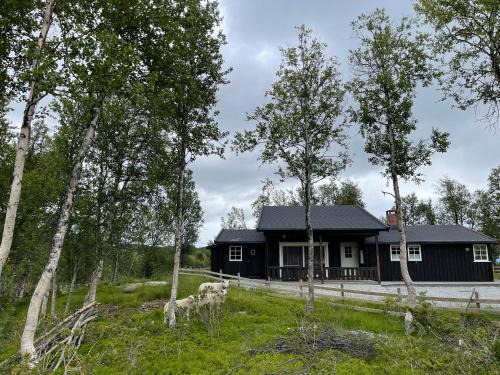 Al House | Sigurdhytta