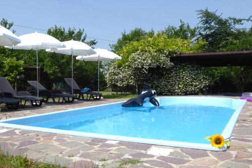 Silea Apartment | Silea Apartments, Pool, Garden, Treviso