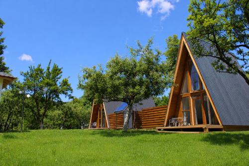 Albestii Paminteni House | Silent A-FRAME
