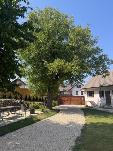 Sacele House | SIM House & Barn