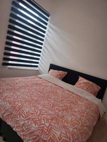 Charleroi House | Sisters home