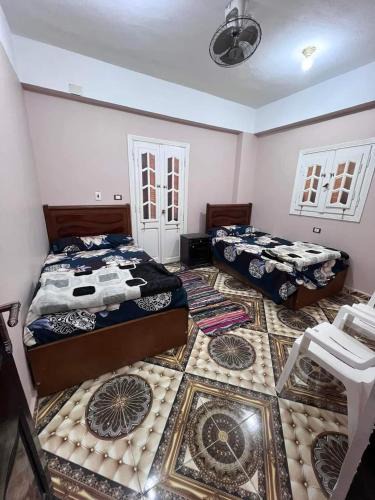 Siwa Apartment | Siwa Shali Hostel