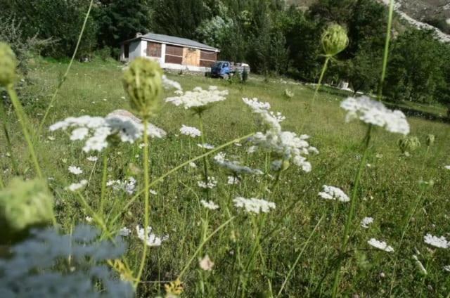 Chitral House | Siwakhat Huts