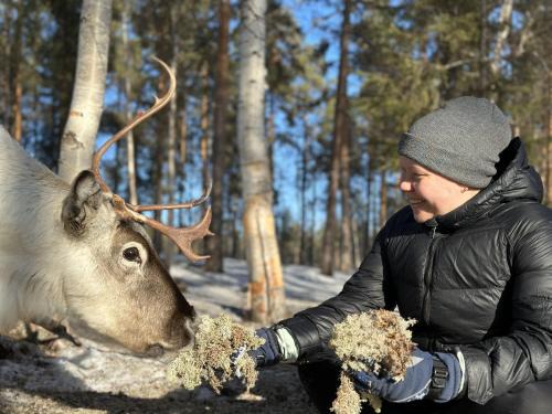 Norrbotten County Other | Skabram Camping & Stugby