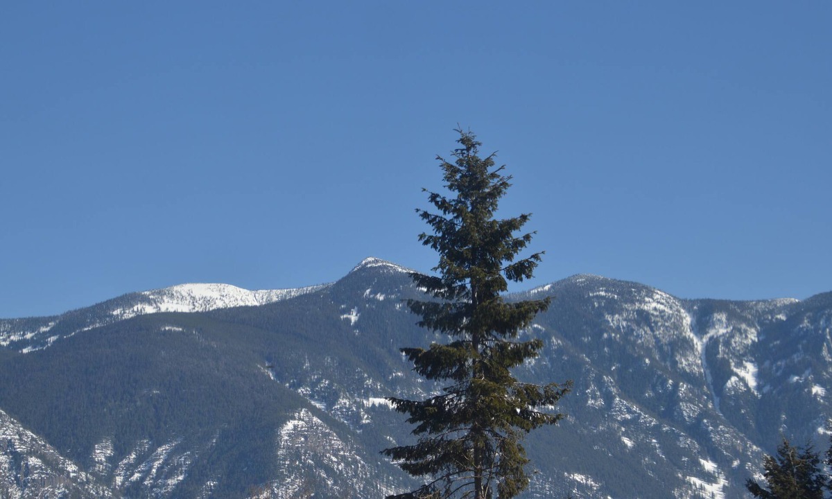 Creston Hotel | Skimmerhorn Inn