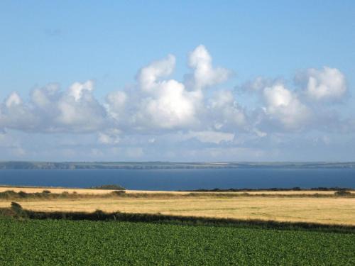 Solva Apartment | Skomer View Solva