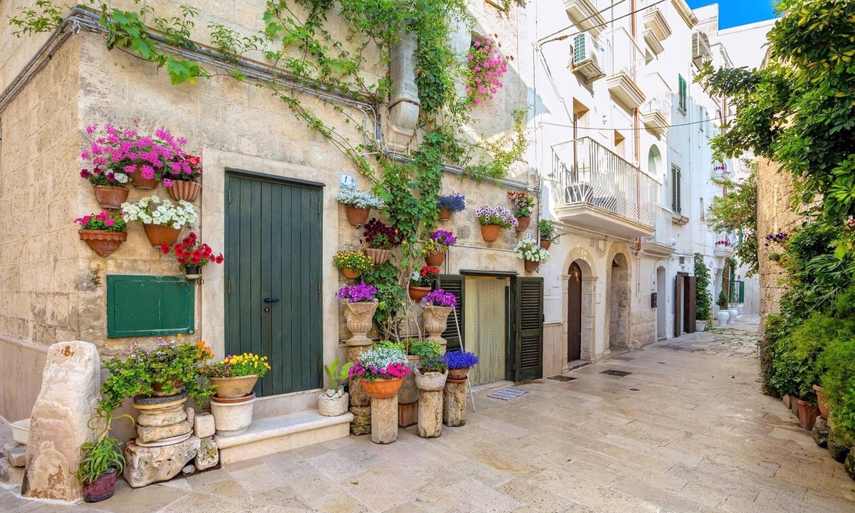 Macchia di Monte Apartment | Sky View Apartment Monopoli
