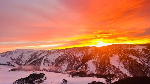 Hotham Heights Apartment | Slopeside Studio 4 Guests Ski in Ski out
